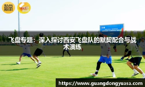 飞盘专题：深入探讨西安飞盘队的默契配合与战术演练